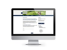 Website, Webbly